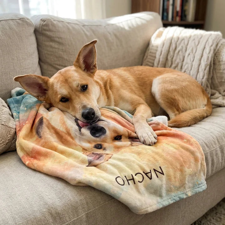Custom pet photo blanket with a dog's painted portrait and name, Nacho curled up on the sofa