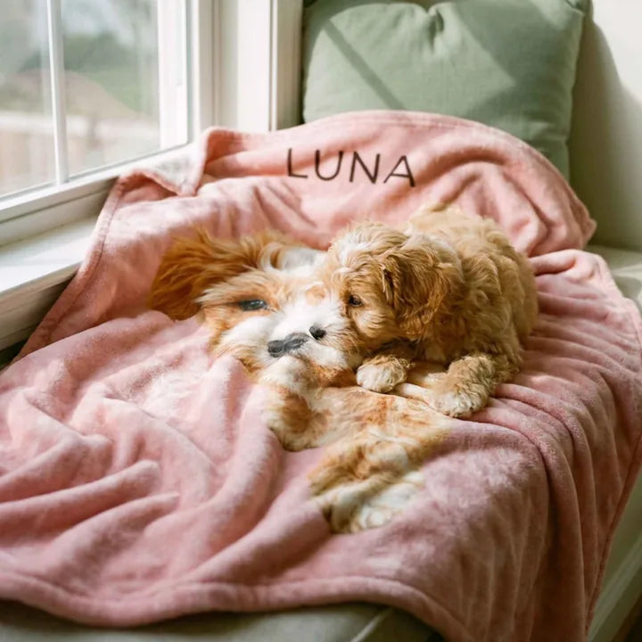 A Blush custom pet photo blanket with a puppy photo and the name Luna, with a real puppy lying on it by a sunlit window