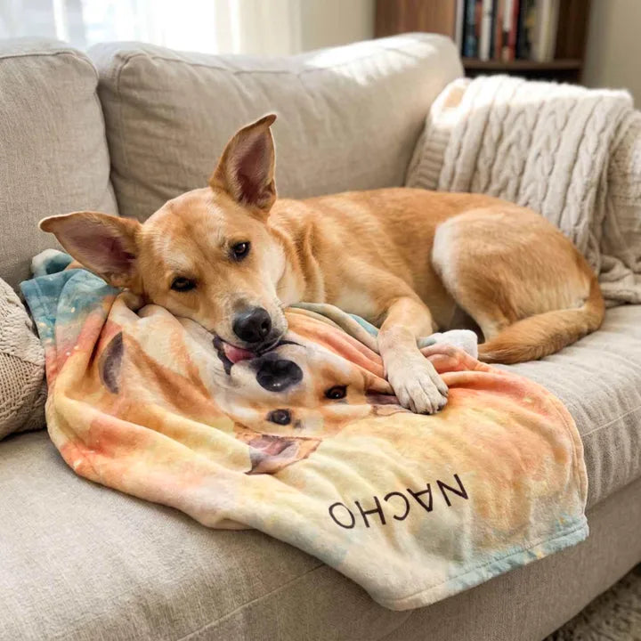 Personalized pet blanket printed with a dog's painted portrait and name, Nacho resting his chin on it