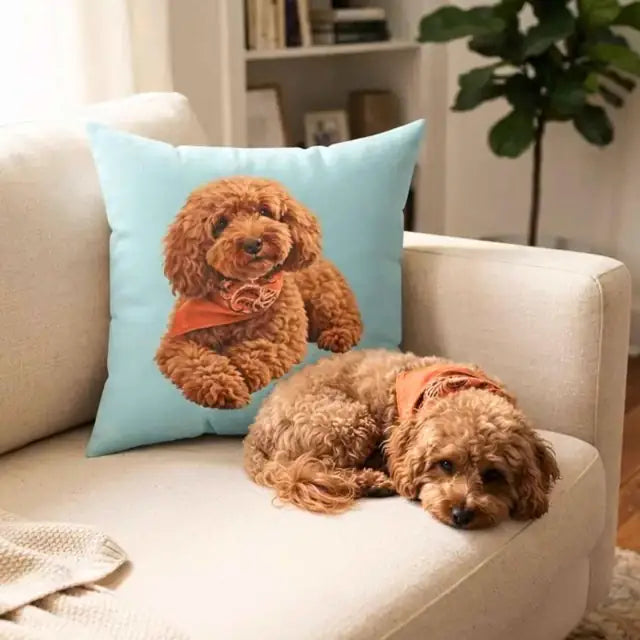 Everyday Love Pillow in a room, photo 2