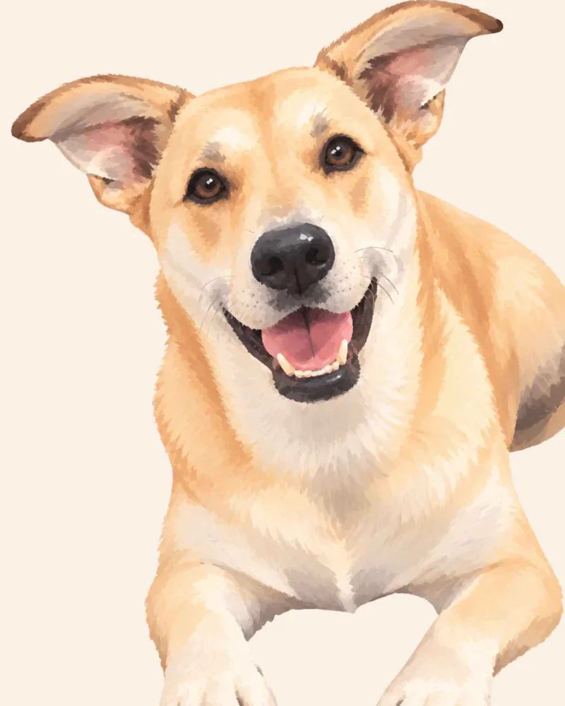 Close view of Nacho's painted custom pet portrait
